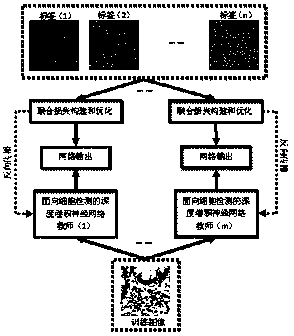 Cell detection method