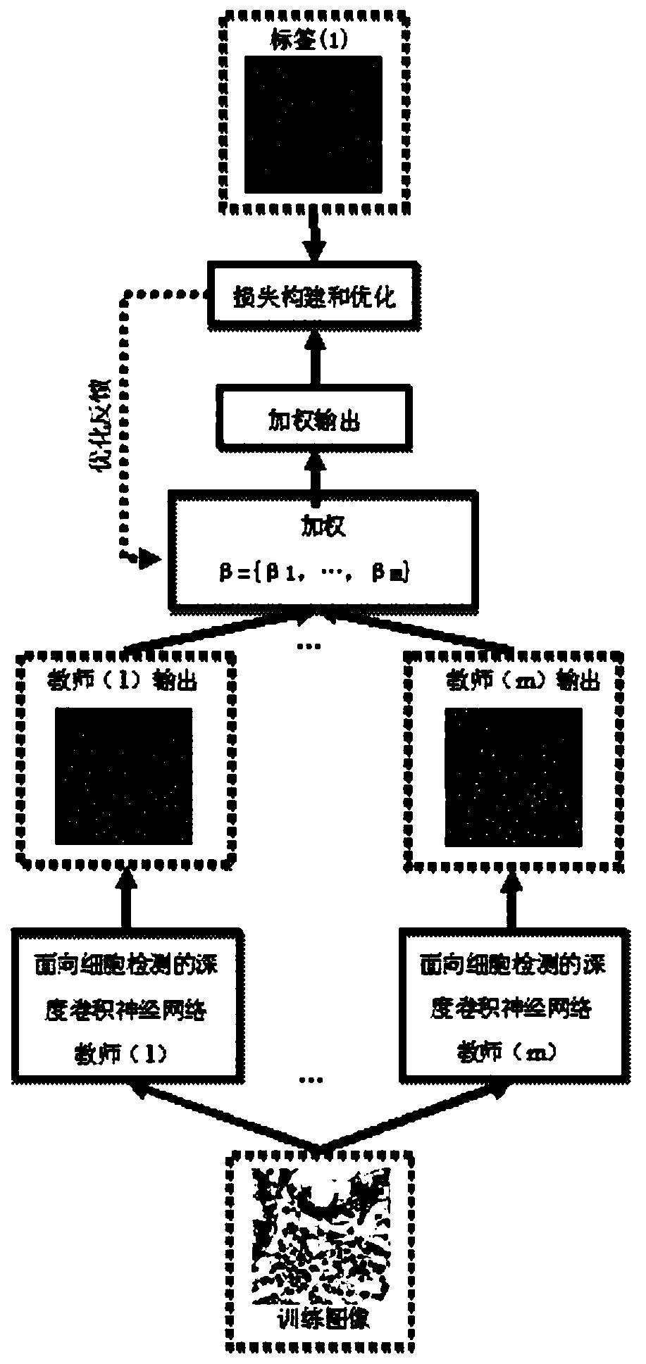 Cell detection method