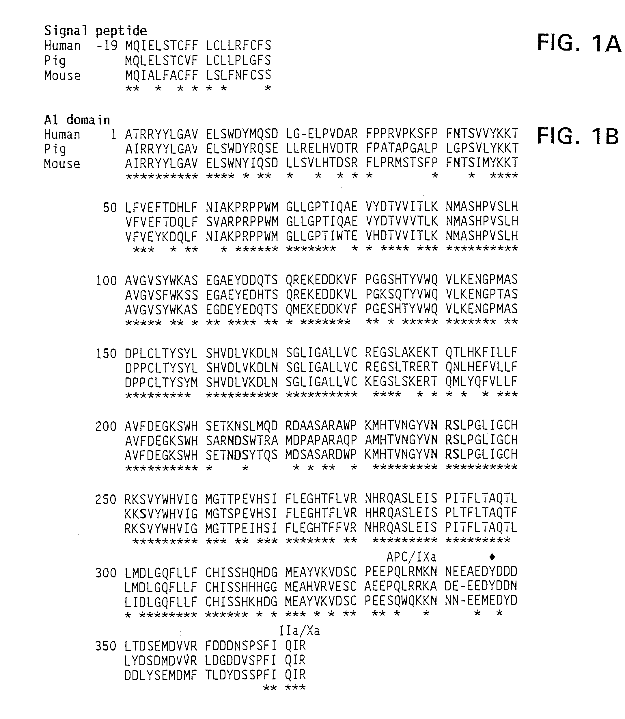 Modified Factor VIII