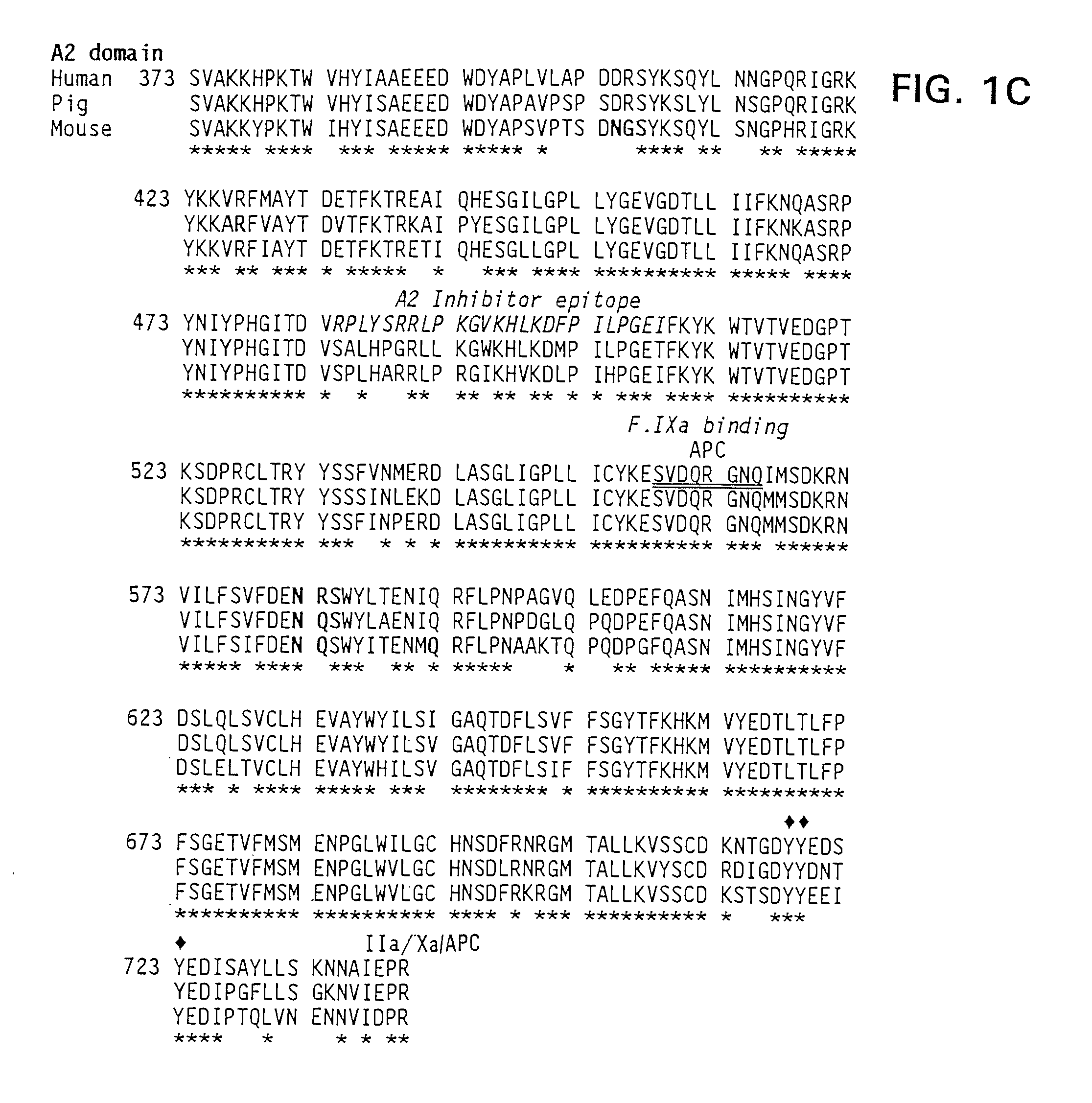 Modified Factor VIII