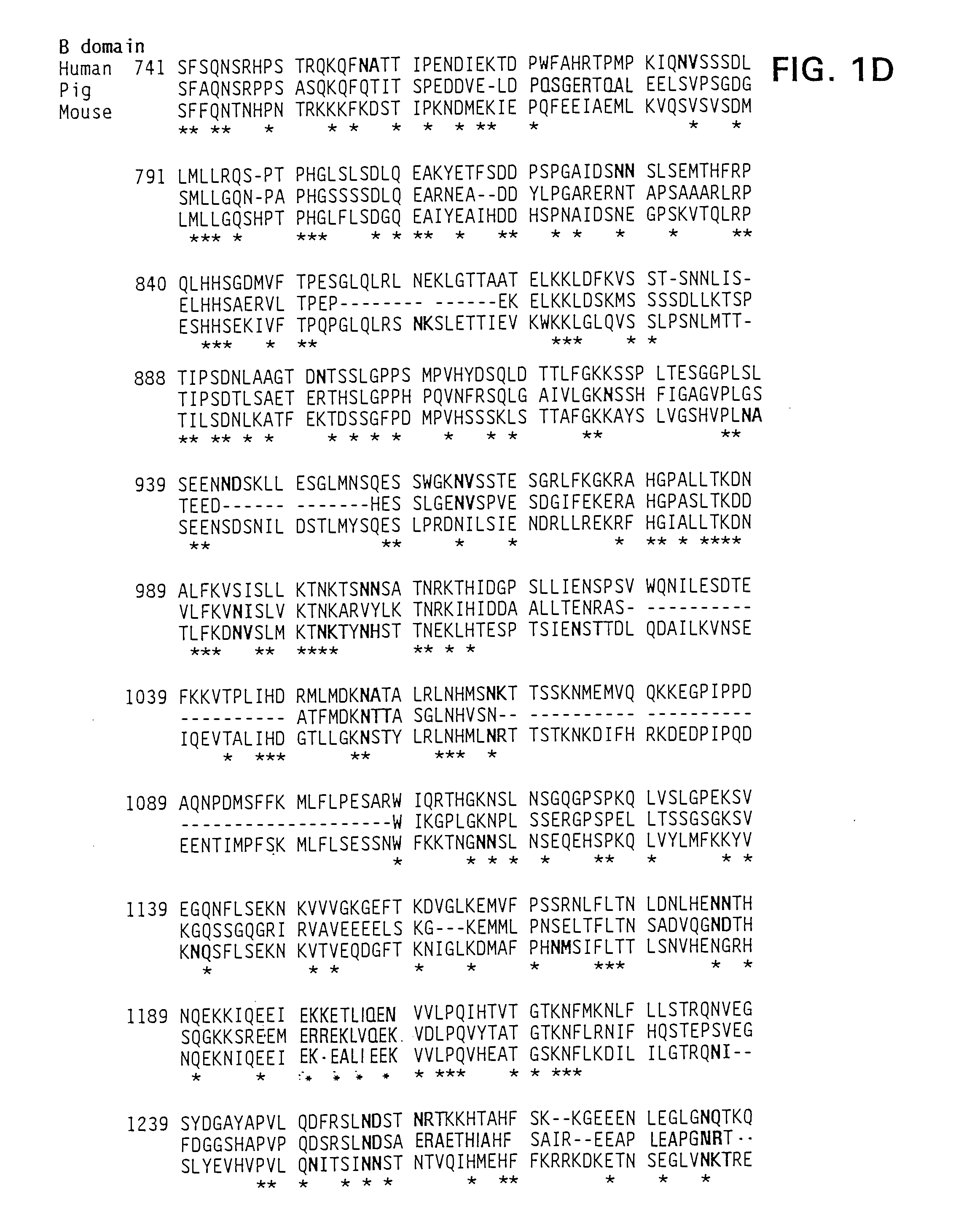 Modified Factor VIII