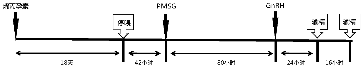 Long-acting recombinant FSH fusion protein, preparation method thereof and application of long-acting recombinant FSH fusion protein to timing semen deposition of sows