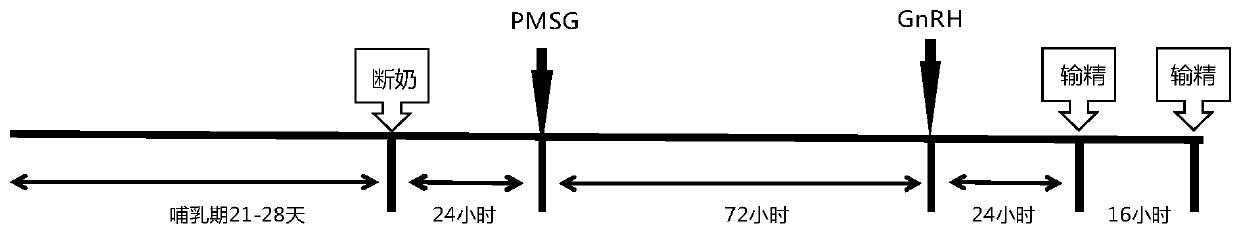 Long-acting recombinant FSH fusion protein, preparation method thereof and application of long-acting recombinant FSH fusion protein to timing semen deposition of sows