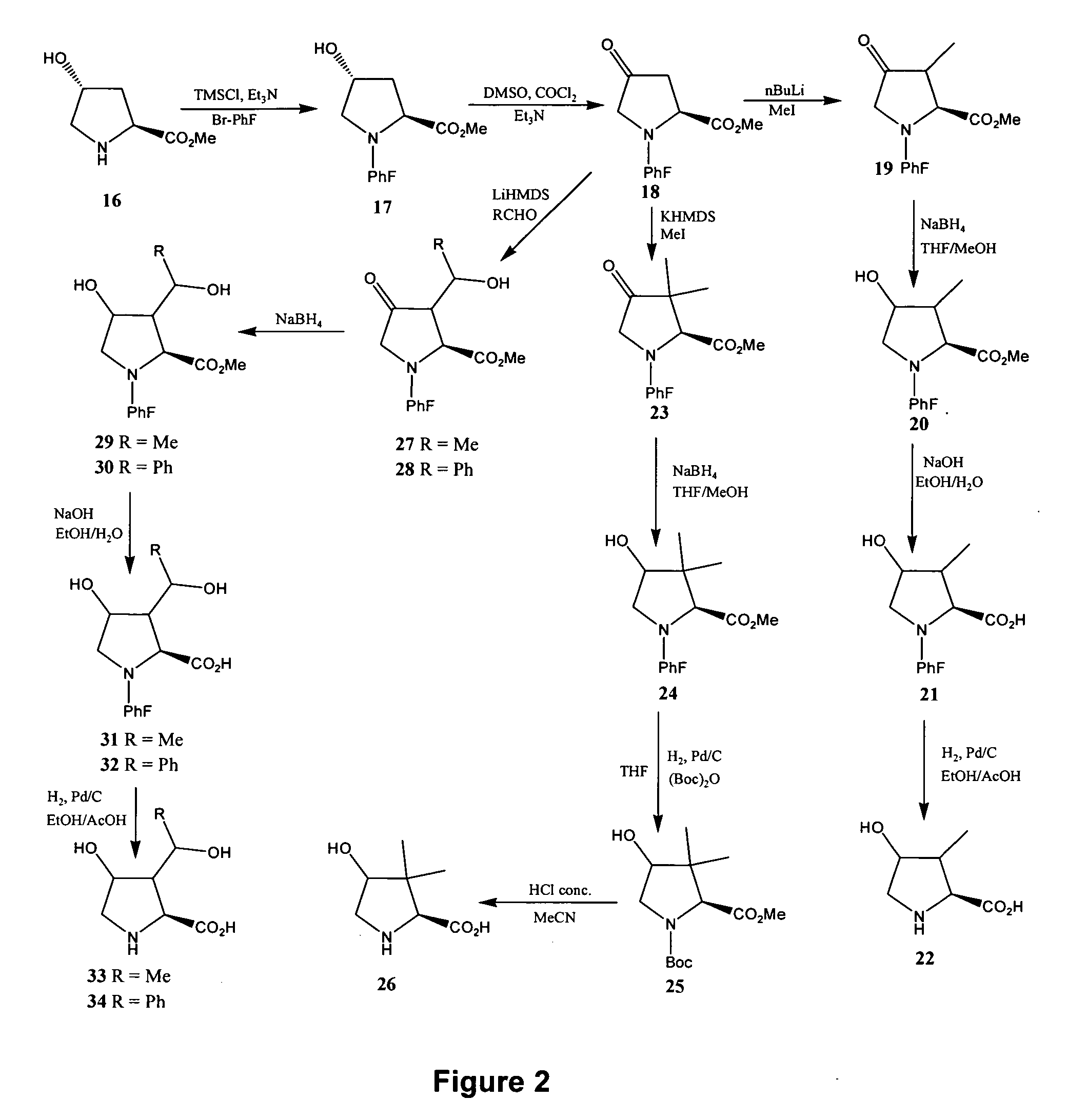 Compounds and compositions for use in the prevention and treatment of obesity and related syndromes