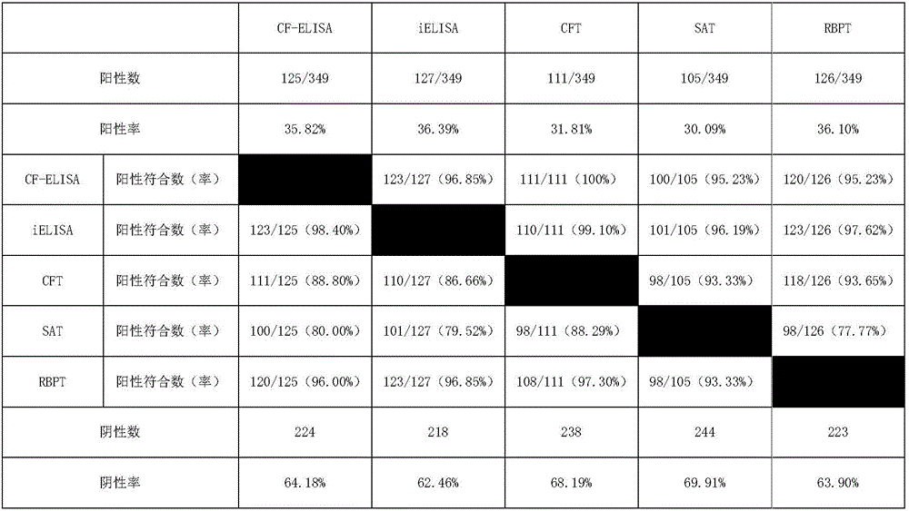 Brucellosis CF-ELISA antibody detection kit