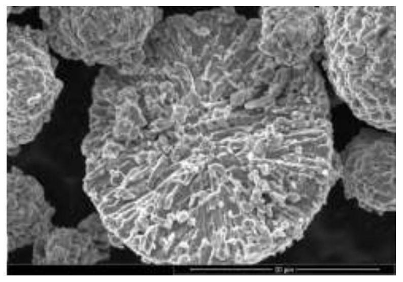 Cobalt-free precursor for lithium ion battery, positive electrode material and preparation methods of cobalt-free precursor and positive electrode material