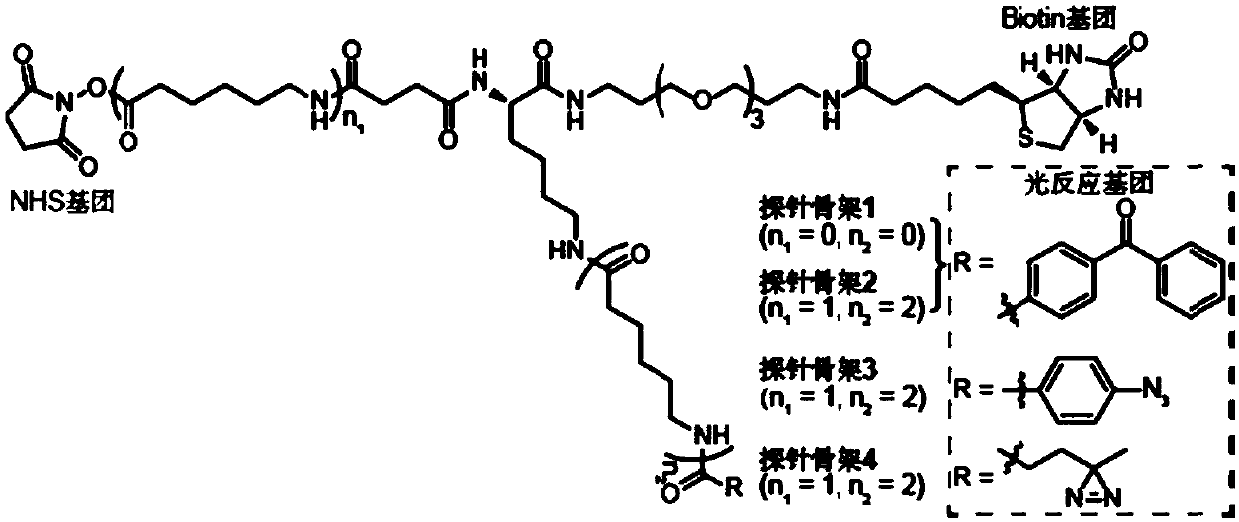 Probe as well as synthesis method and application thereof