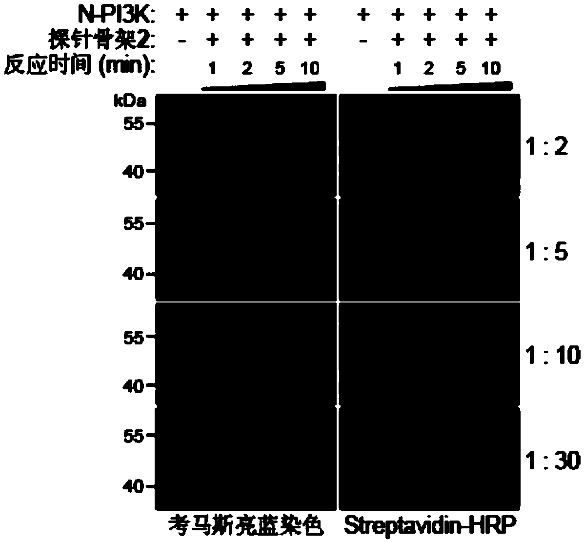 Probe as well as synthesis method and application thereof