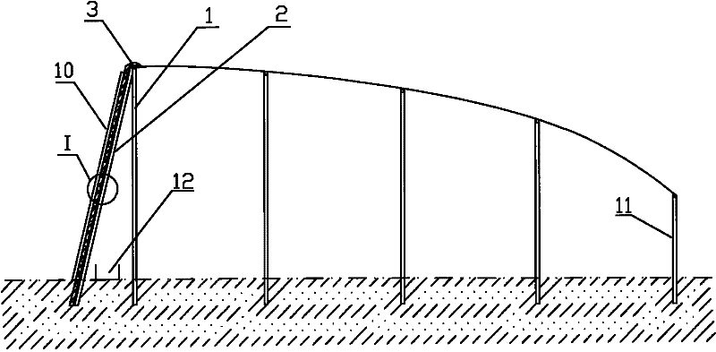 Construction method of sunlight greenhouse