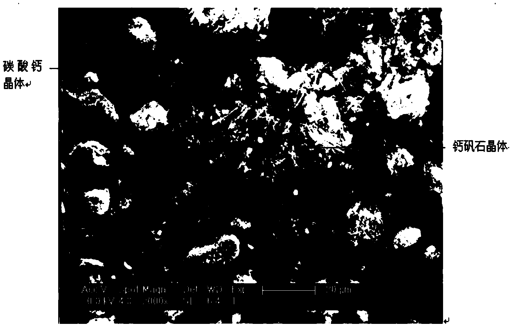 Soil curing agent based on desulfurized fly ash activity and preparation method and application thereof