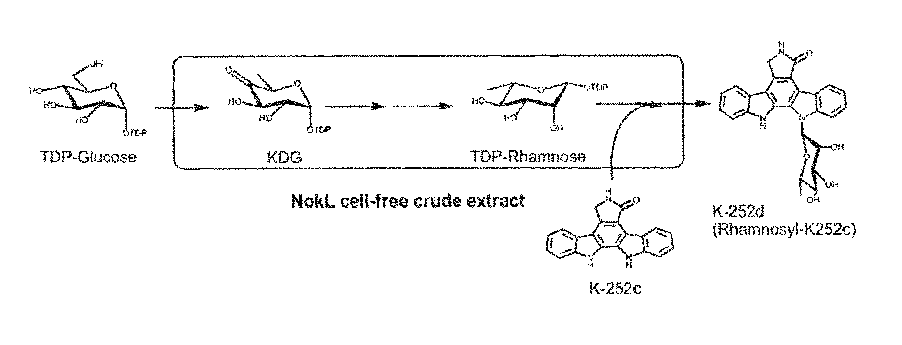 Method for producing indole derivative