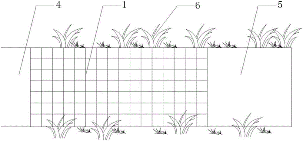 Multifunctional rainwater ecological utilization system and rainwater ecological utilization method