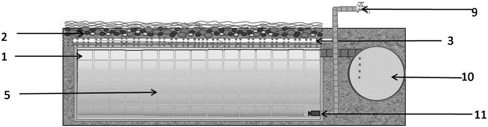 Multifunctional rainwater ecological utilization system and rainwater ecological utilization method