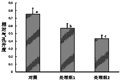 Composite type antitranspirant, preparation method and application thereof