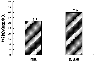 Composite type antitranspirant, preparation method and application thereof