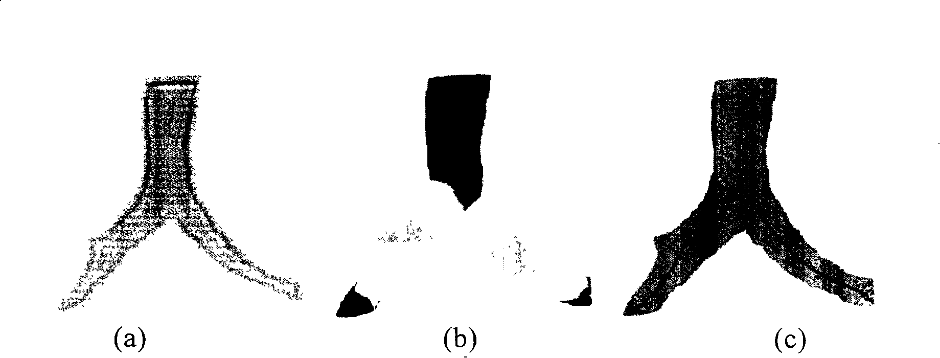 Method for abstracting grade framework and stereo decomposing of arborescence figure