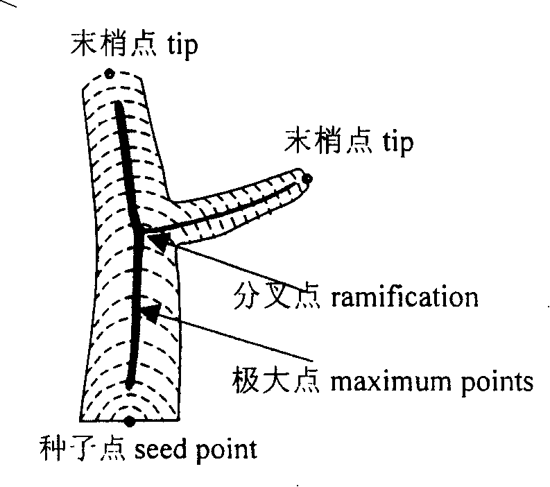 Method for abstracting grade framework and stereo decomposing of arborescence figure