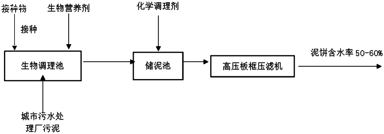 Method for improving dewatering property of sludge by biological conditioning