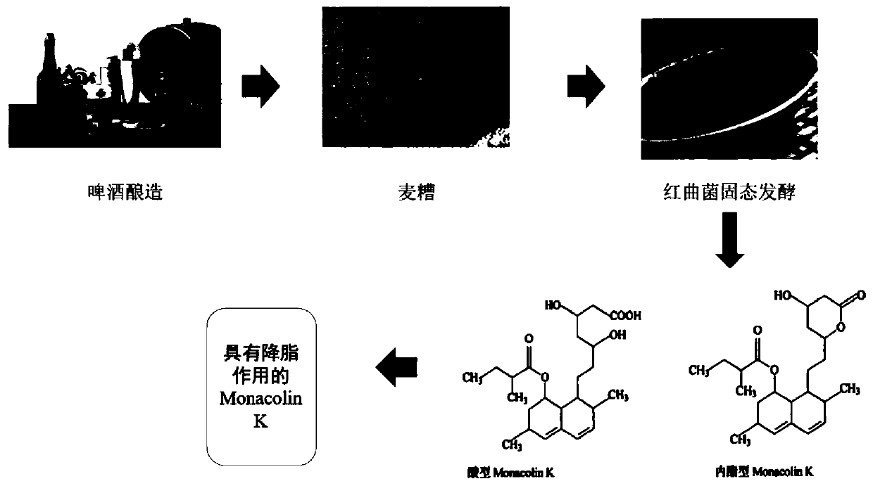 Method for producing lipid-lowering component Monacolin K of monascus by using spent grains