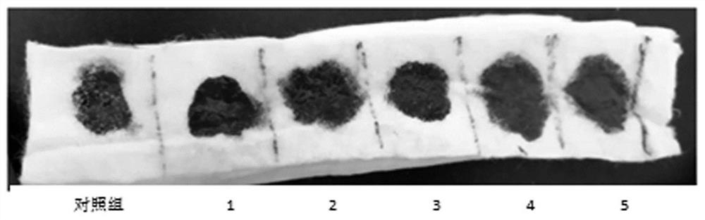 Hemostatic material based on combination of chitosan and tissue factor, and preparation method thereof