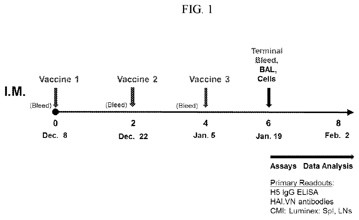 Adjuvant compositions