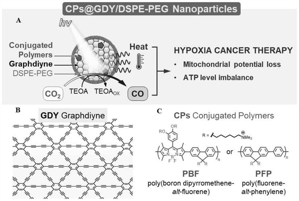 A kind of water-soluble conjugated polymer/graphyne nanoparticle and its preparation method and application