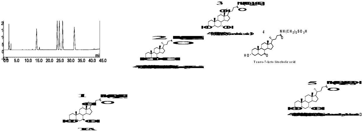 Process for preparing artificial bear gall powder through large-scale fermentation culture of engineered strain