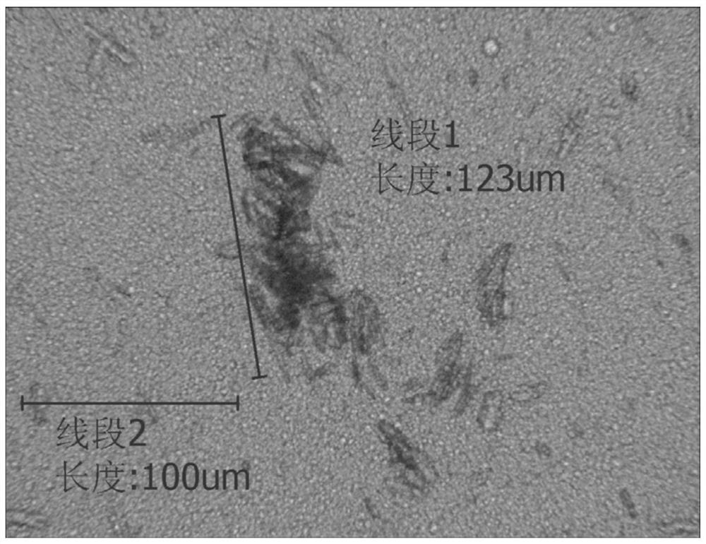 Sulfadiazine silver cream and preparation method thereof