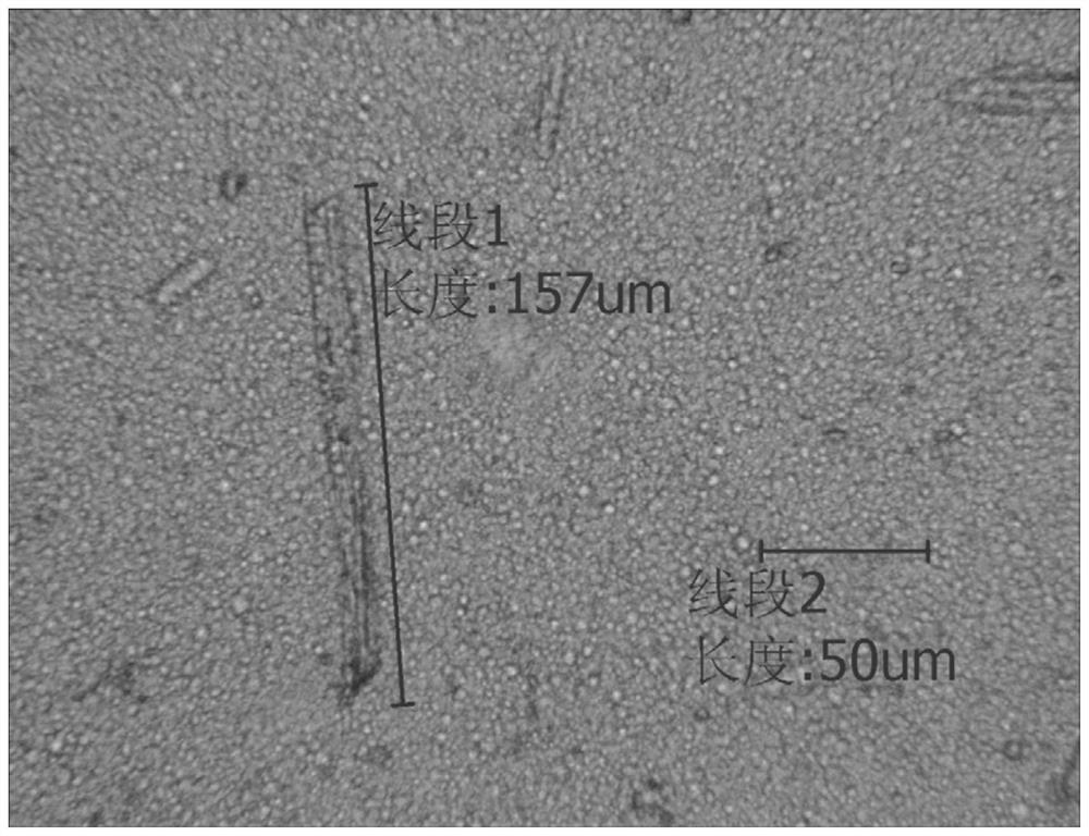 Sulfadiazine silver cream and preparation method thereof