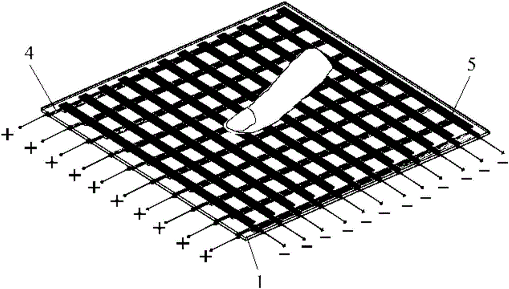 Dielectric flexible sensor for big deformation and touch pressure measurement