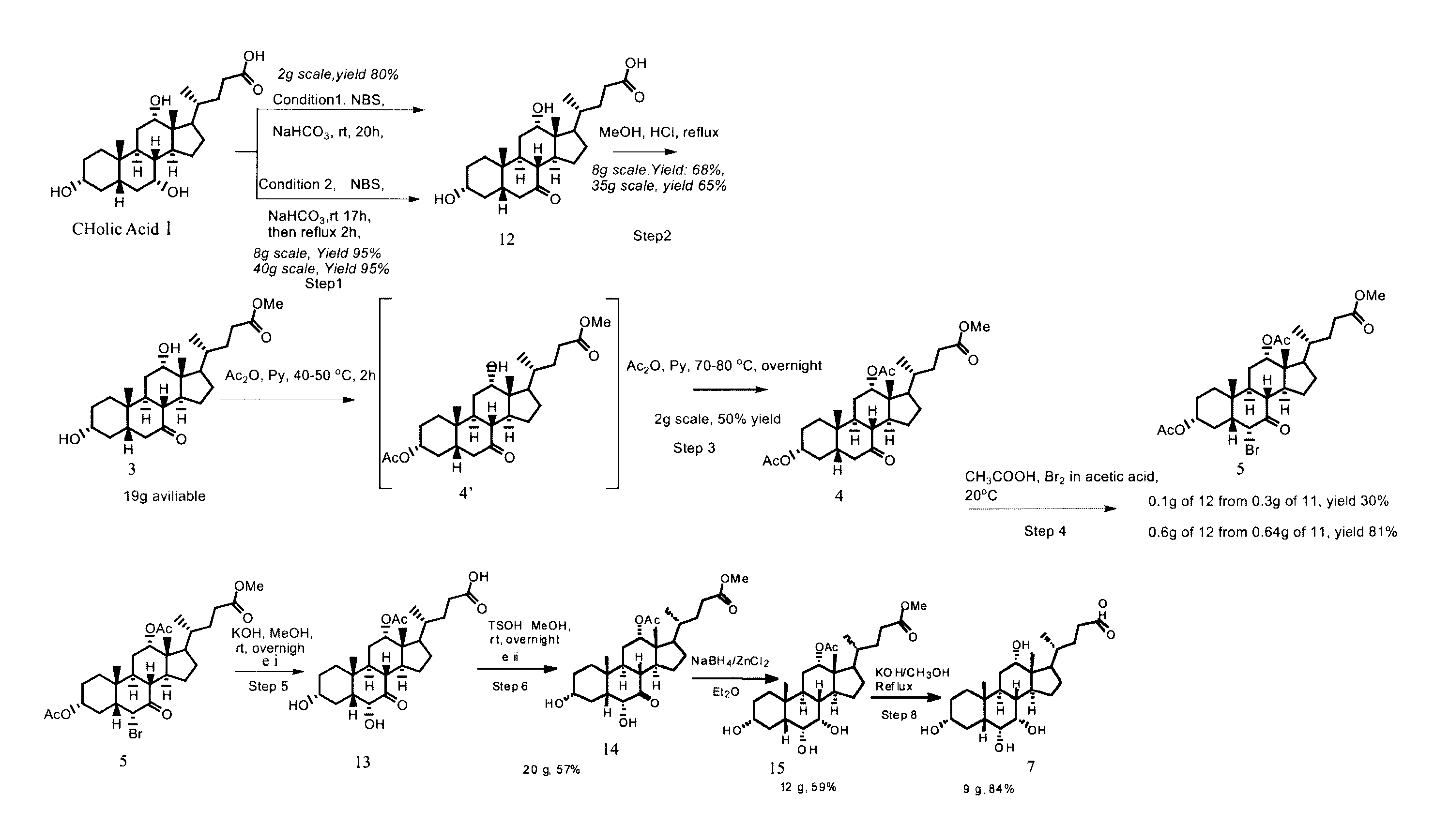 Polyhydroxylated Bile Acids for Treatment of Biliary Disorders