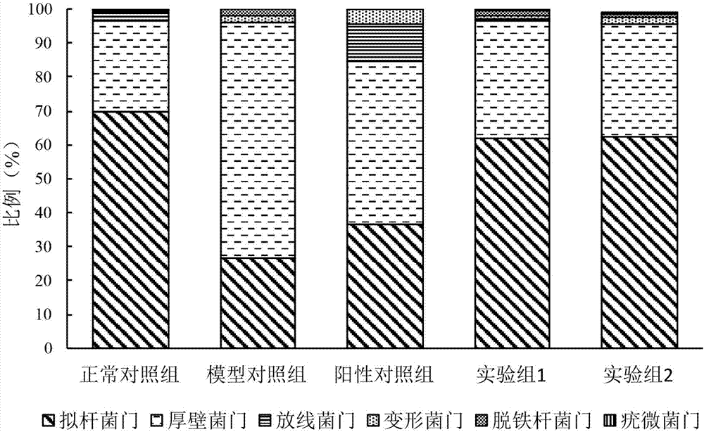 Nymphaea hybrid extract and application of nymphaea hybrid extract composition to prevention obesity and improvement of intestinal flora