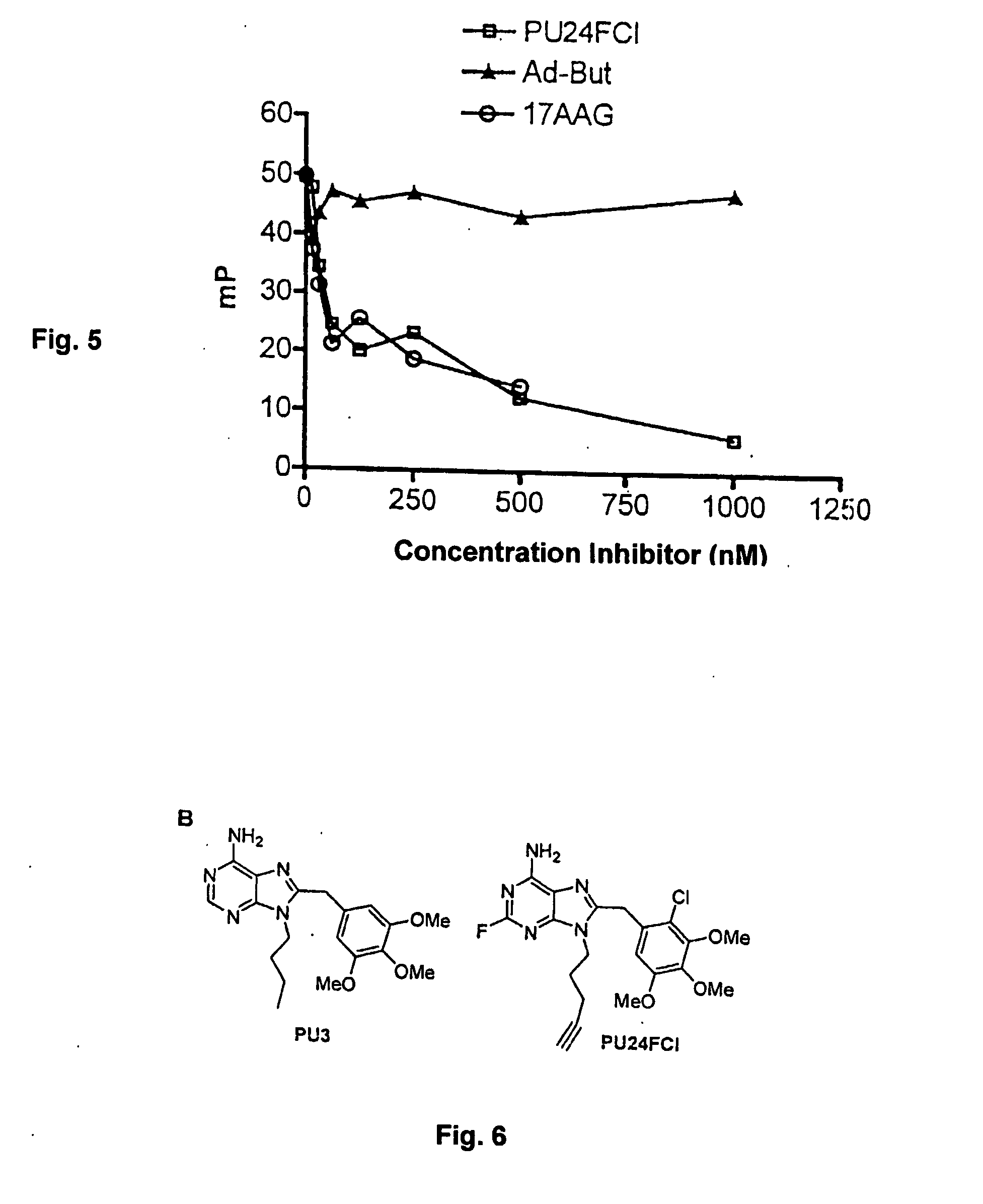 Assays for detection of bioactive compounds that interact with heat shock protein 90