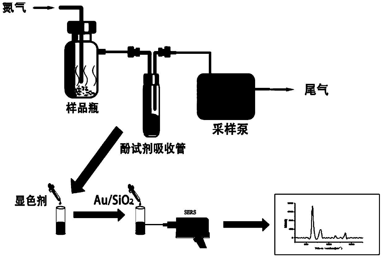 Method for rapidly detecting volatile formaldehyde by surface enhanced Raman scattering (SERS) and application of method