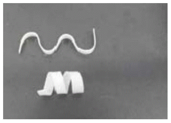 Polylactic acid-based biodegradable shape memory material excited by body heat and its preparation method and application