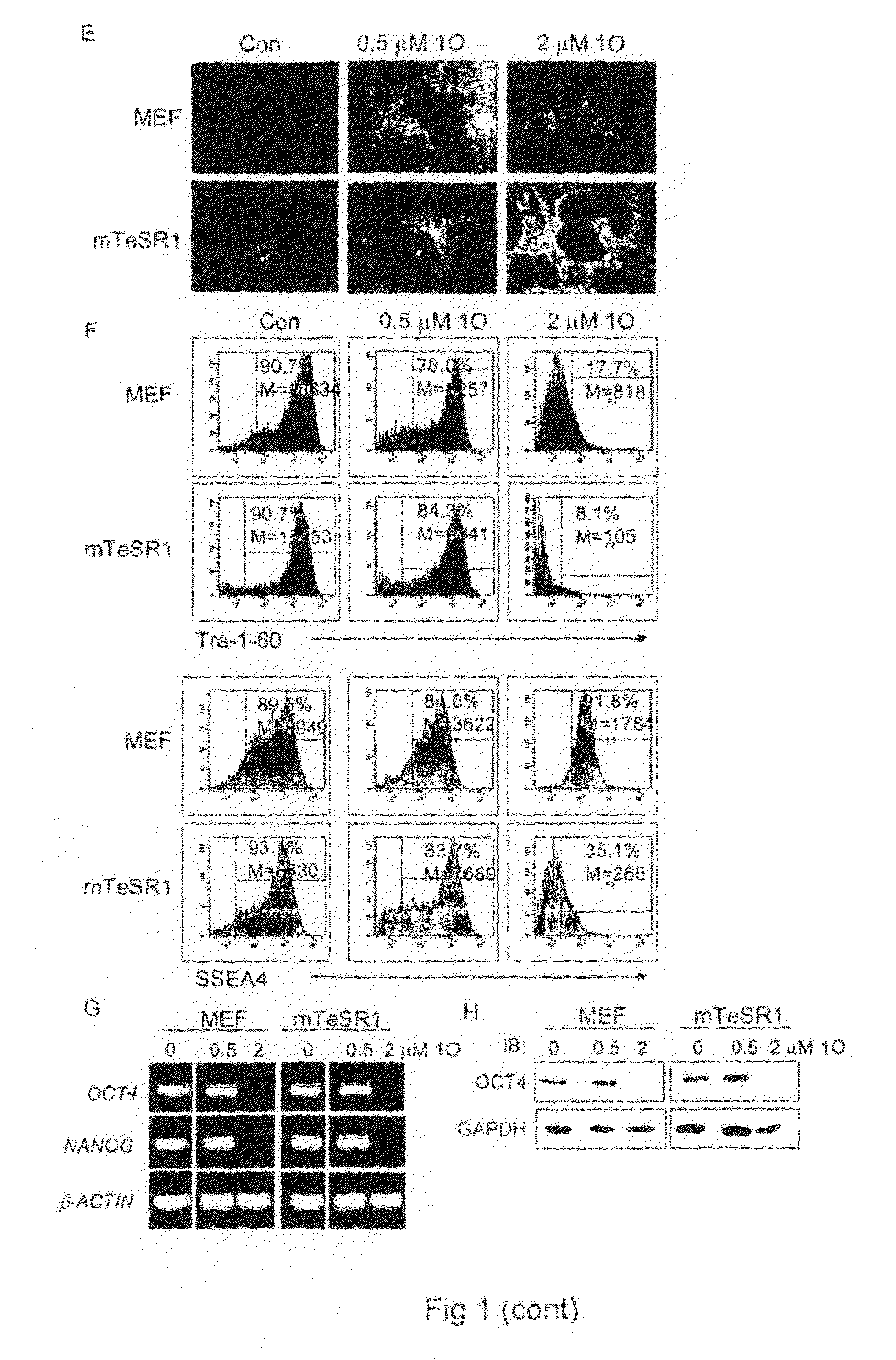 Composition and method for differentiation of human embryonic stem cells