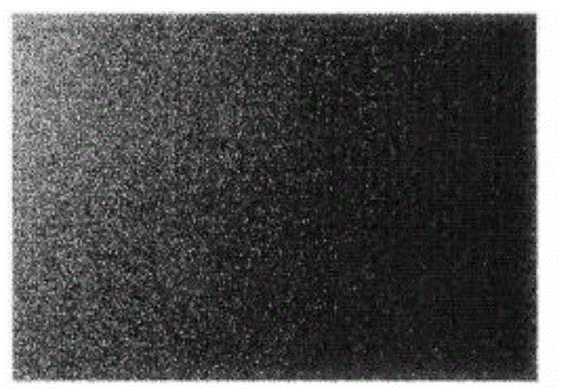 Large-angle diffusing optical lens