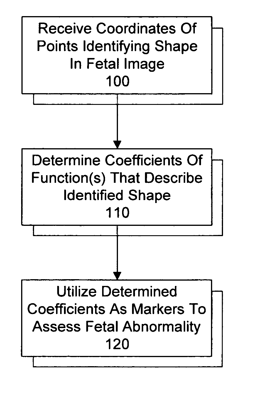 System and method for utilizing shape analysis to assess fetal abnormality