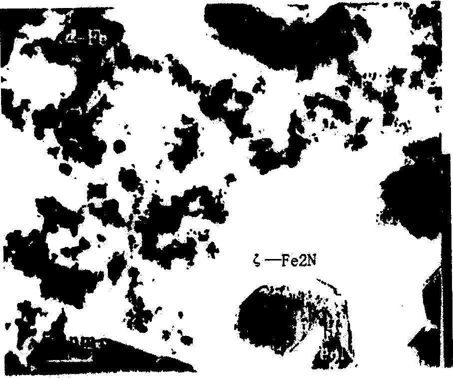 Textile fiber with conductive ane magnetic conductive function and its preparing method