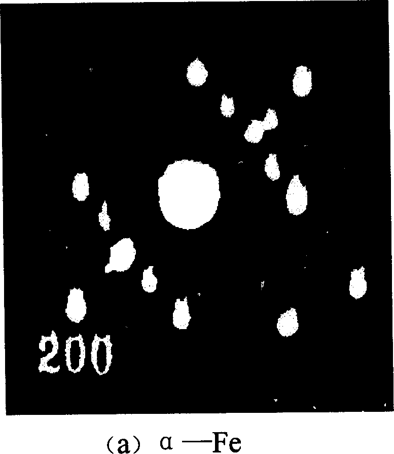 Textile fiber with conductive ane magnetic conductive function and its preparing method