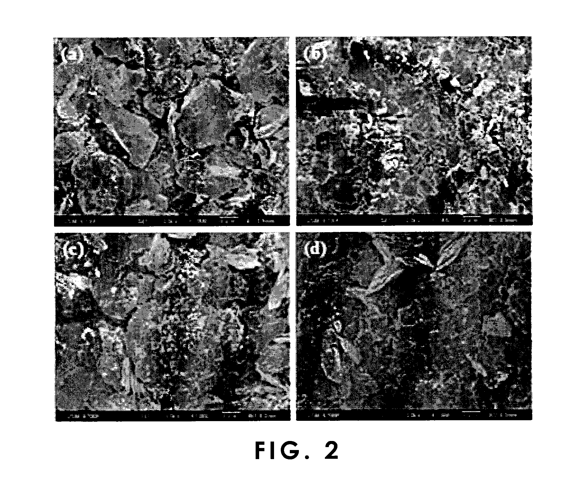 Negative-electrode material for rechargeable batteries with nonaqueous electrolyte, and process for producing the same