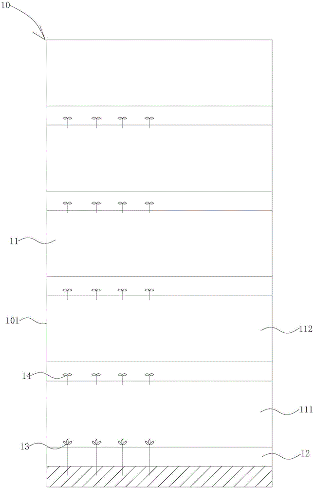 Method for cultivating citruses