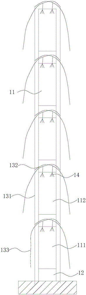 Method for cultivating citruses