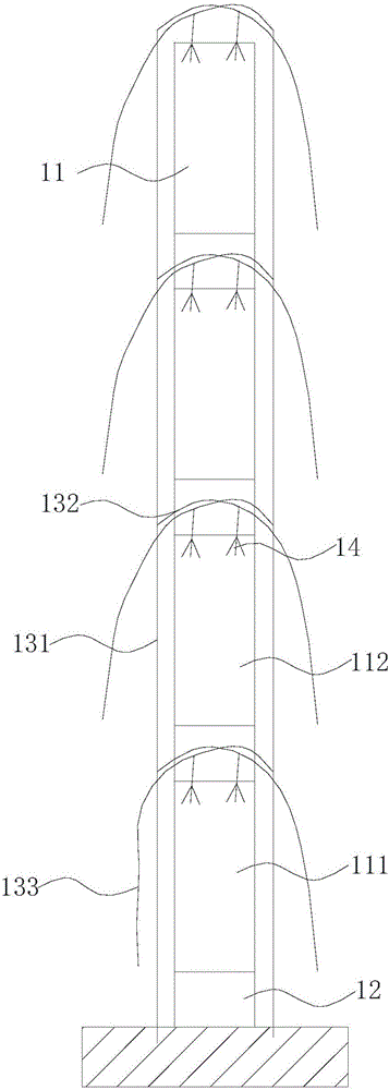 Method for cultivating citruses