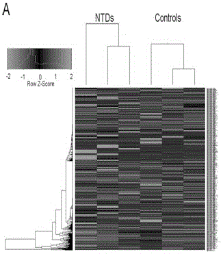 Molecular marker and application of molecular marker in preparation of biological marker agent