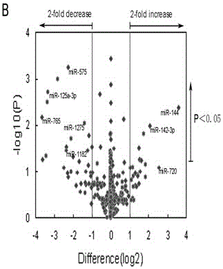 Molecular marker and application of molecular marker in preparation of biological marker agent