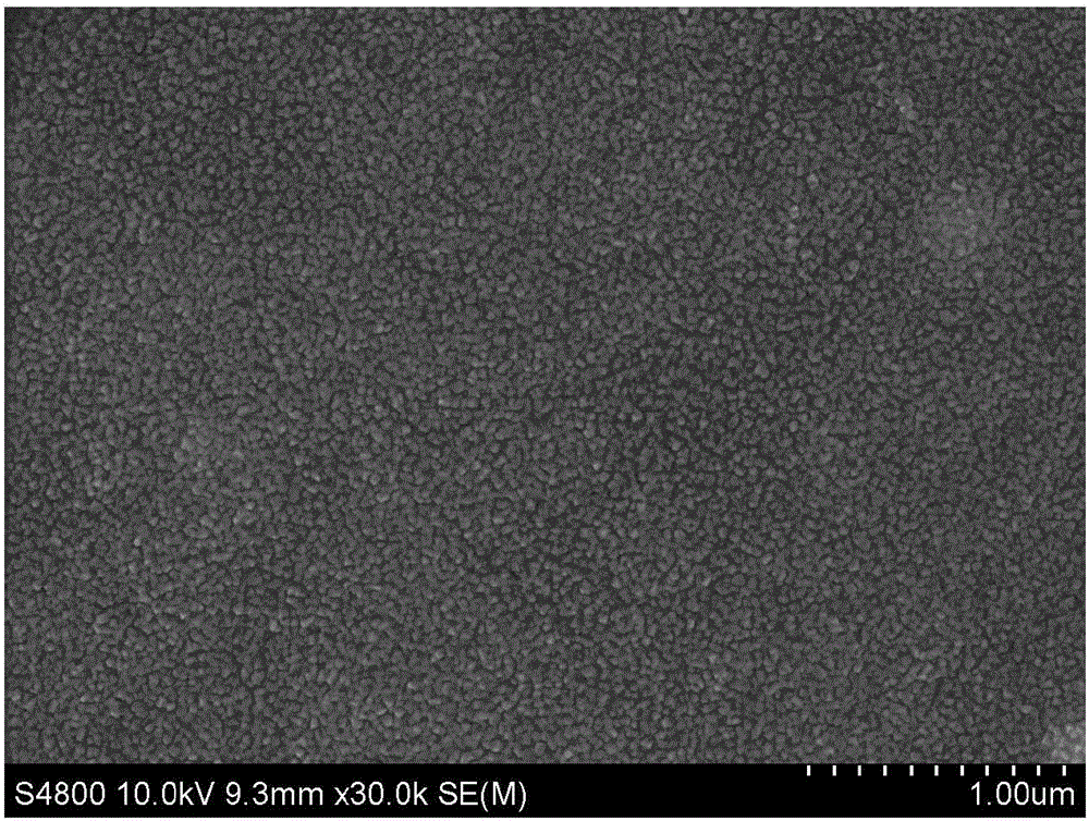 Go-Nafion composite film Ag/AgCl reference electrode for ocean exploration and preparation method thereof