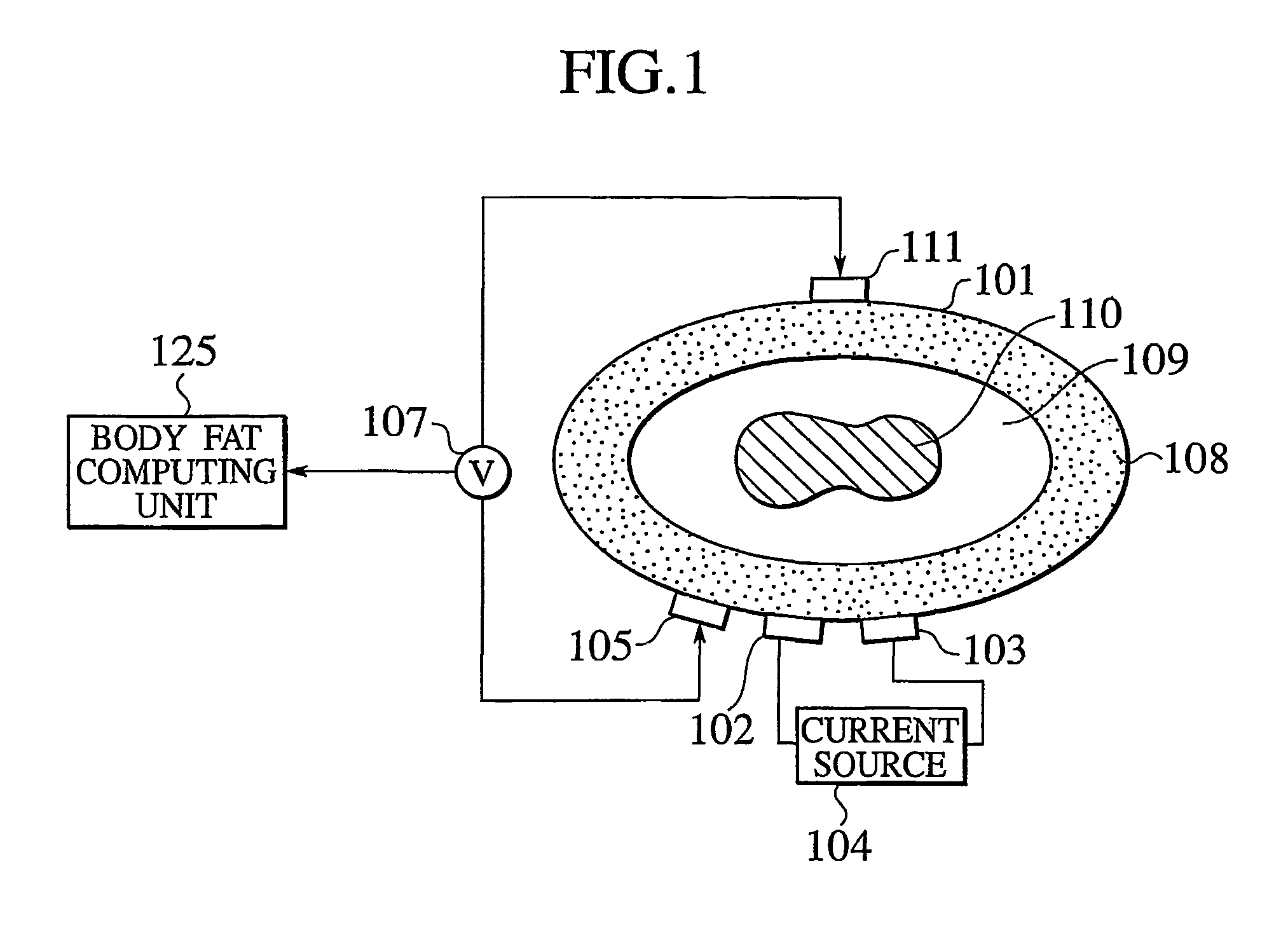 Apparatus for measuring body fat