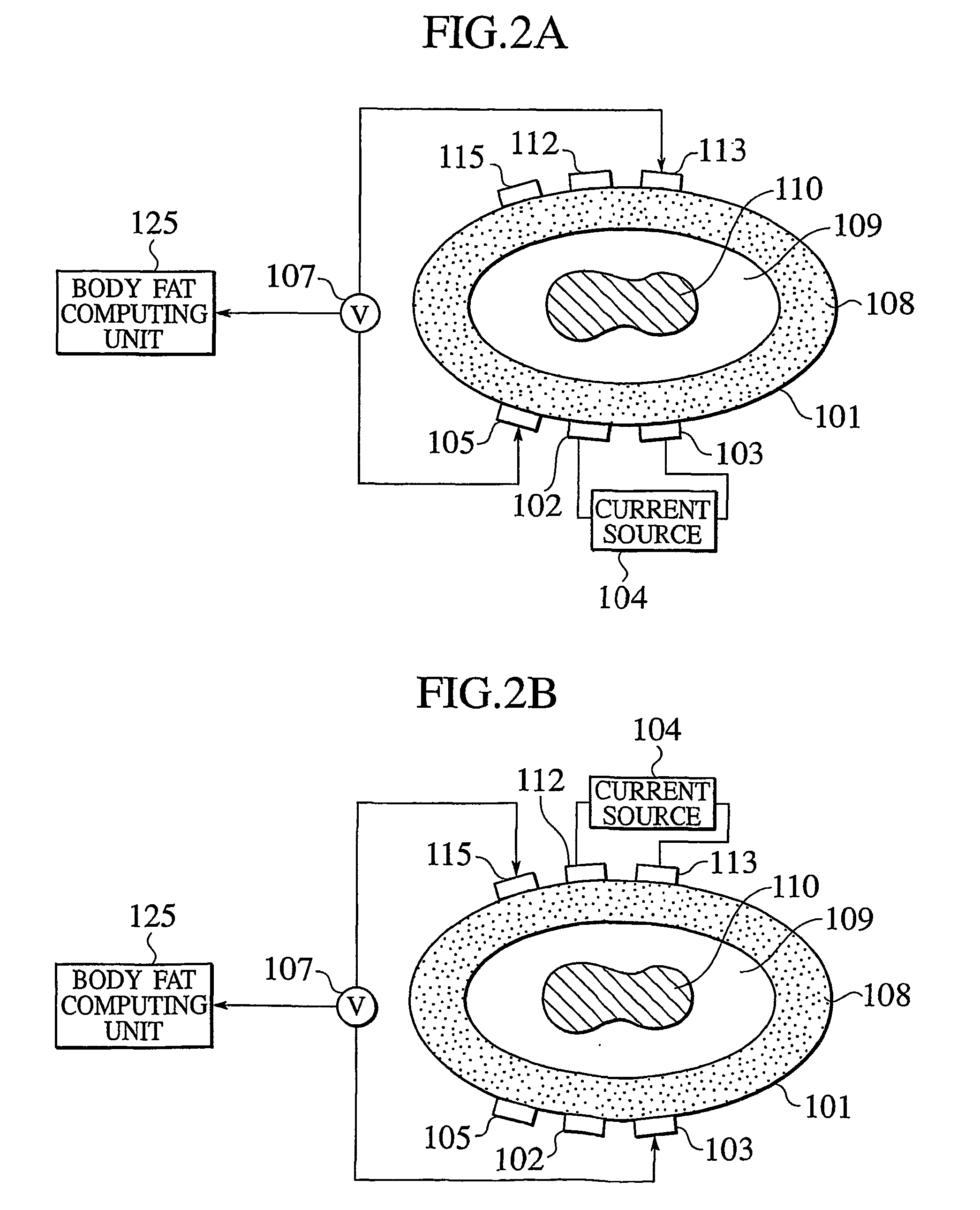 Apparatus for measuring body fat