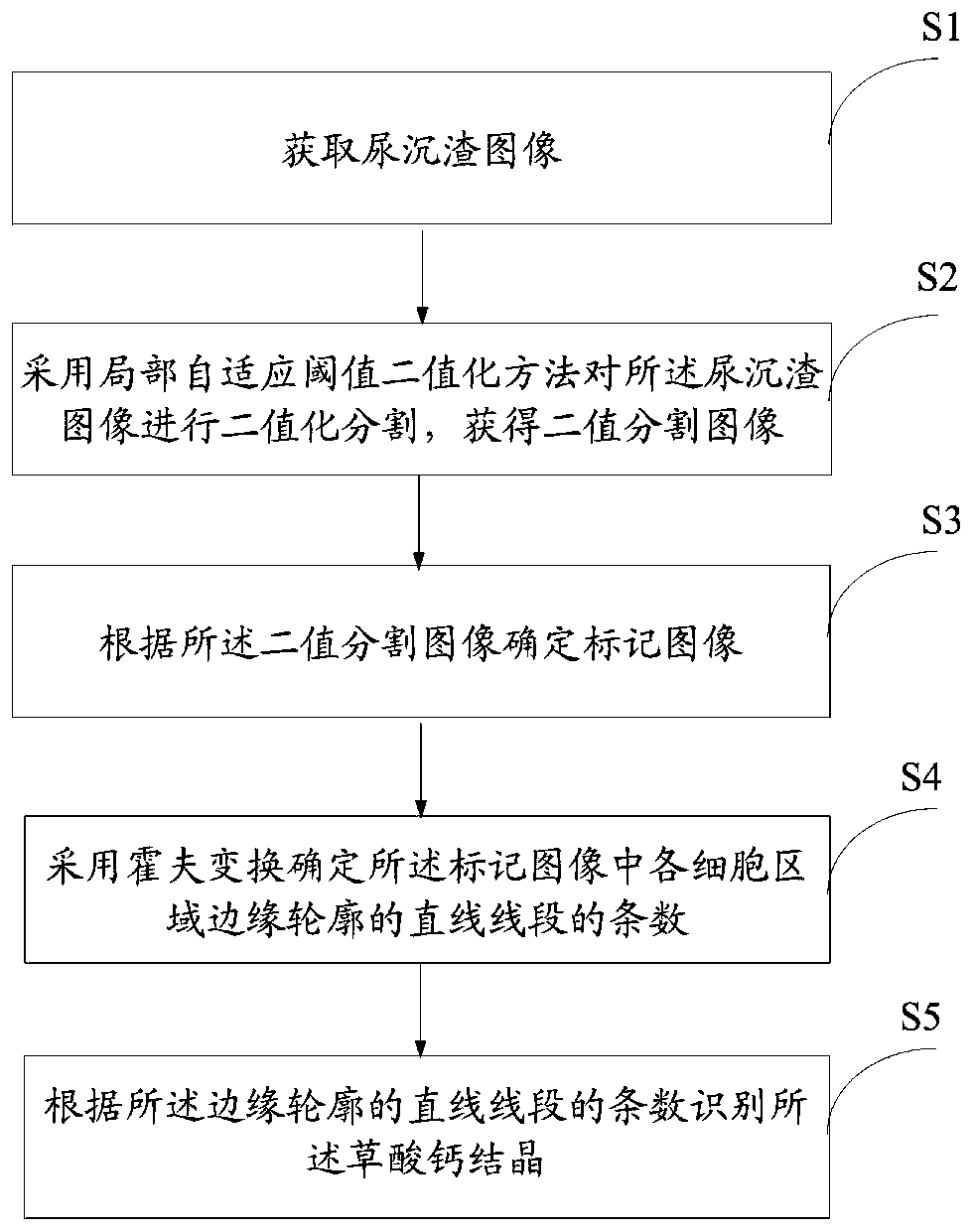 Identification method and system based on calcium oxalate crystal